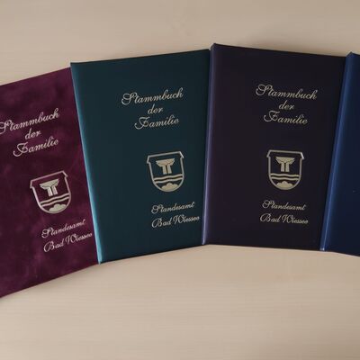 Bild vergrößern: Auswahl Stammbücher Bad-Wiessee (DIN A5) - von links nach rechts: Velours blau/rot, Metallic grün/weinrot/blau