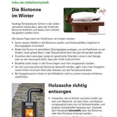 VIVO Biotonne und Holzasche